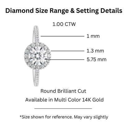 Lab-Grown Diamond Round Halo Engagement Ring in 14K White Gold or 14K Yellow Gold